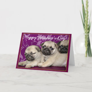 Cartão De Festividades Happy Valentine's Day Pug puppies greeting card