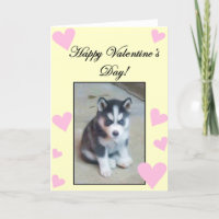 Happy Valentine's Day Siberian Husky Puppy card