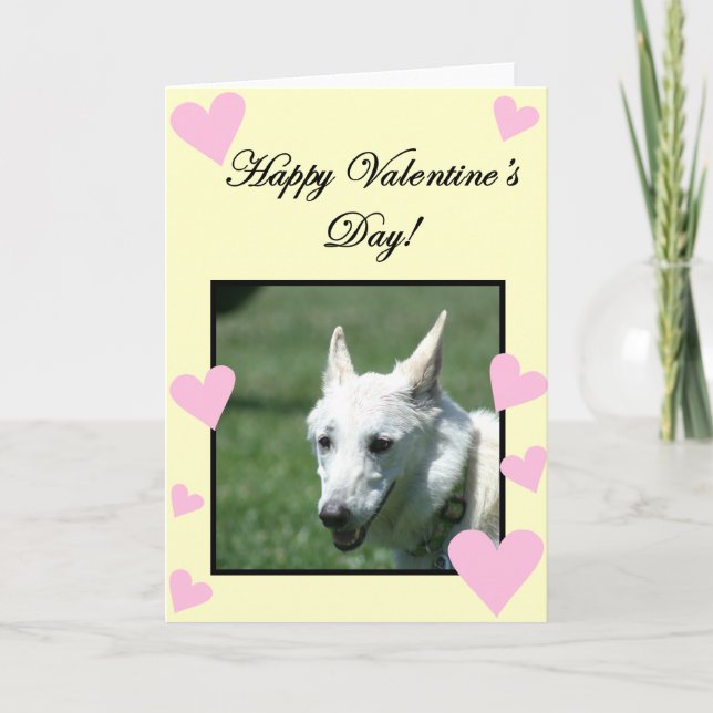 Cartão De Festividades Happy Valentine's Day White German Shepherd card (Frente)
