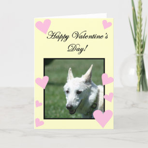 Cartão De Festividades Happy Valentine's Day White German Shepherd card