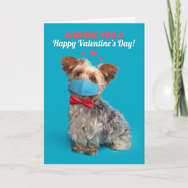 Cartão De Festividades Happy Valentine's Day Yorkie in Covid Face Mask (Frente)