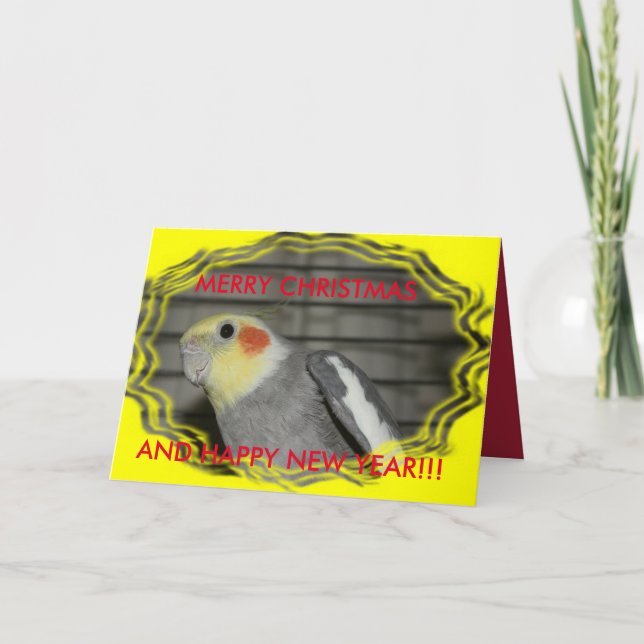 Cartão De Festividades Harley Cockatiel Christmas CARD (Frente)