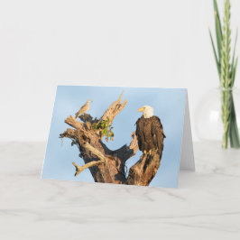 Cartão De Festividades Harriet and the Dove