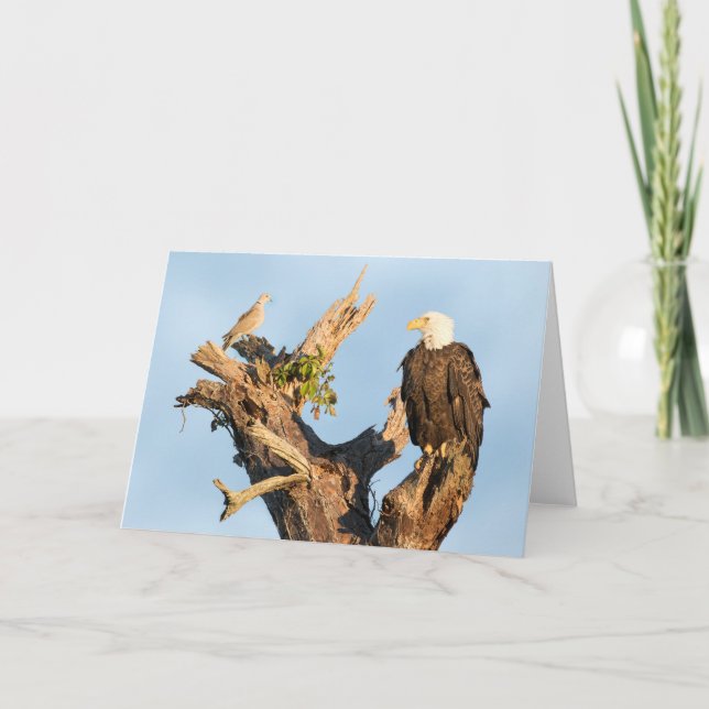 Cartão De Festividades Harriet and the Dove (Frente)