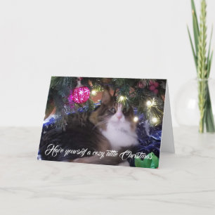 Cartão De Festividades Have yourself a Cozy Cat under christmas tree