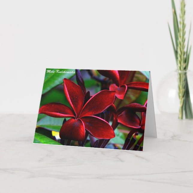 Cartão De Festividades Hawaiian Christmas Cards (Frente)