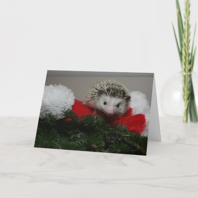 Cartão De Festividades Hedgehog Christmas Card (Frente)