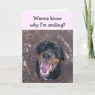 Cartão De Festividades Heidi Happy Rottweiler Valentine's Day Card