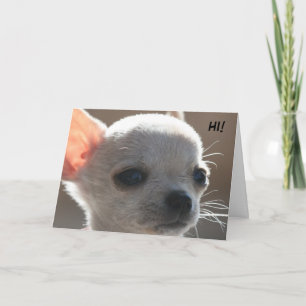 CARTÃO DE FESTIVIDADES HI!