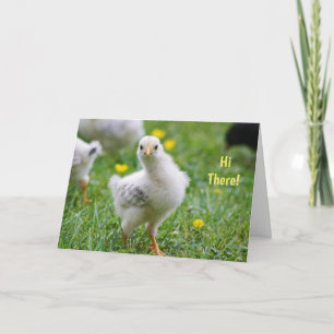 Cartão De Festividades Hi There Baby Chick Happy Easter