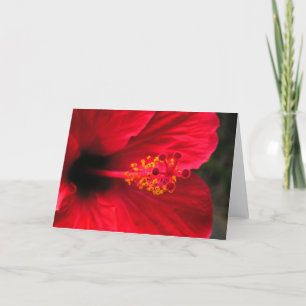 Cartão De Festividades Hibisco vermelho