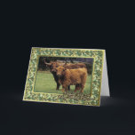 Cartão De Festividades Highland Cow And Calf Blank Christmas Card<br><div class="desc">Highland Cow And Calf Blank Christmas Card</div>