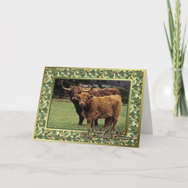 Cartão De Festividades Highland Cow And Calf Blank Christmas Card (Frente)