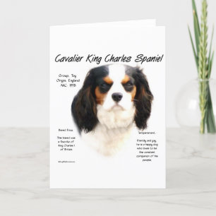 Cartão De Festividades História do Cavaleiro Rei Charles Spaniel (tricolo