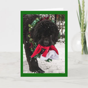 Cartão De Festividades Ho Ho Ho