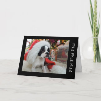 Cartão De Festividades Ho! Ho! ho! Merry Christmas Lola B. Boston
