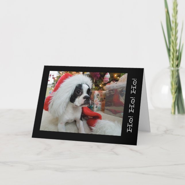 Cartão De Festividades Ho! Ho! ho! Merry Christmas Lola B. Boston (Frente)