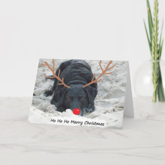Cartão De Festividades Ho Ho Ho Merry Xmas