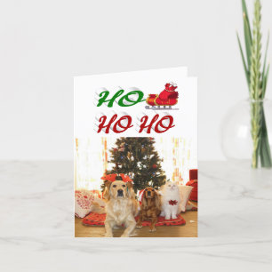 Cartão De Festividades Ho Ho Ho Papais noeis Sleigh no roteiro de fotos d