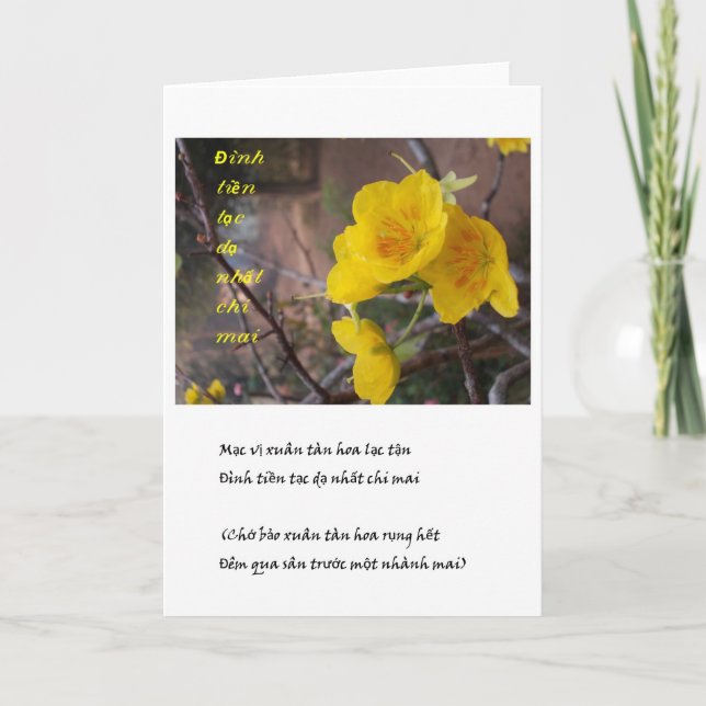 Cartão De Festividades hoa mai vang (Frente)
