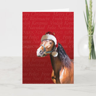 Cartão De Festividades Holiday Bay