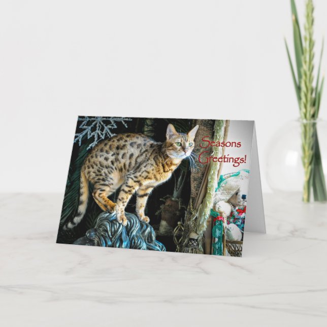 Cartão De Festividades Holiday Bengal Cat Greeting Card (Frente)