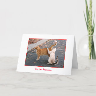 Cartão De Festividades Holiday Card