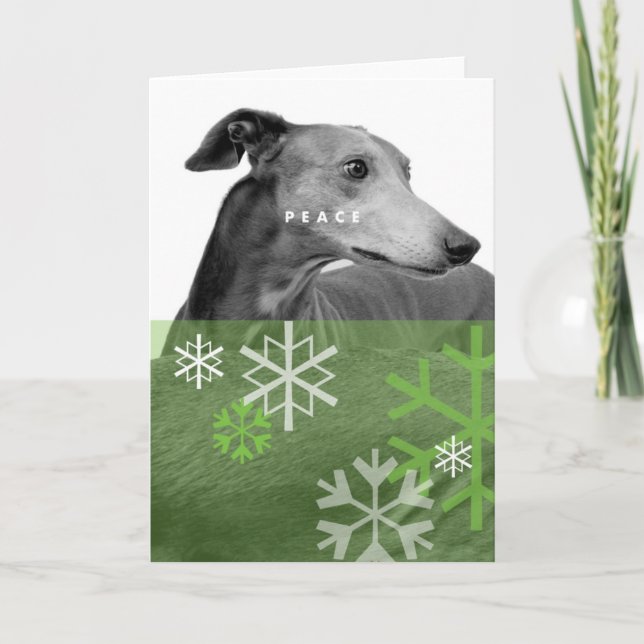 Cartão De Festividades Holiday Card_4 (Frente)