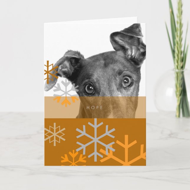 Cartão De Festividades Holiday Card_7 (Frente)