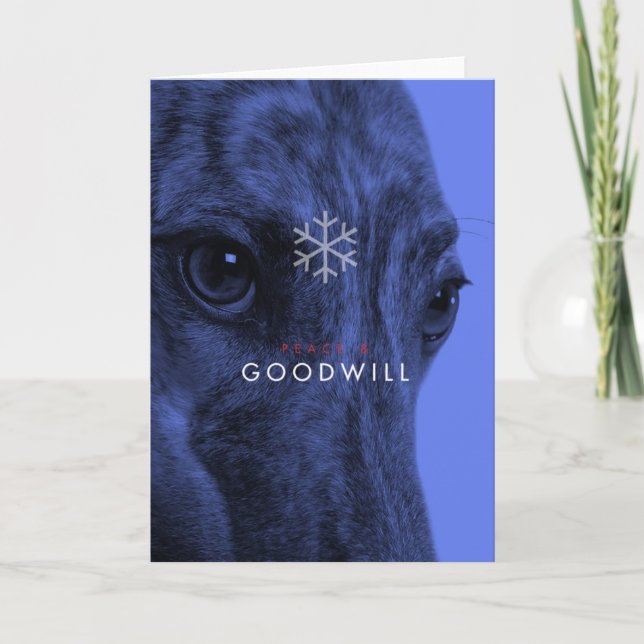 Cartão De Festividades Holiday Card _8 (Frente)