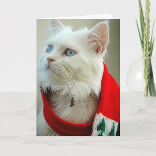 Cartão De Festividades Holiday Card "Baby its cold outside (Frente)