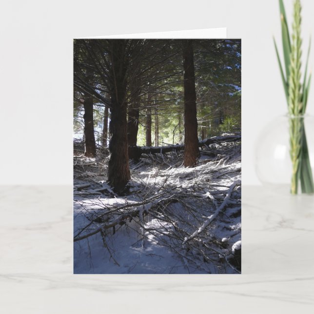 Cartão De Festividades Holiday card, Bob’s Peak Queenstown (Frente)