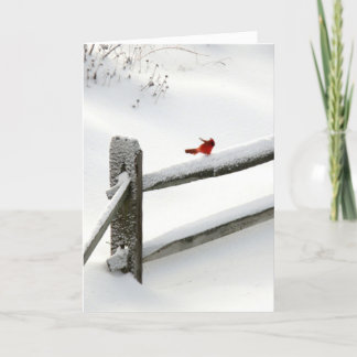 Cartão De Festividades holiday card - Cardinal on Snowy Fence
