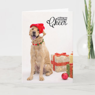 Cartão De Festividades Holiday Cards