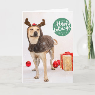 Cartão De Festividades Holiday Cards