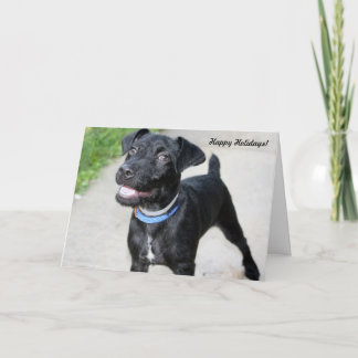 Cartão De Festividades Holiday Cards "Holiday cheer"