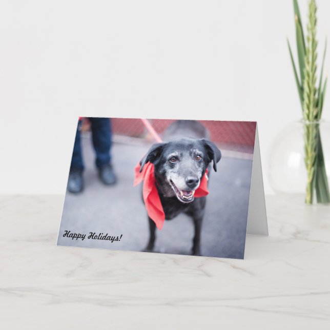 Cartão De Festividades Holiday Cards "Warm holiday wishes" (Frente)