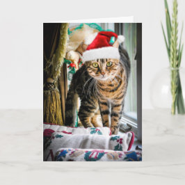 Cartão De Festividades Holiday Cat Greeting Card