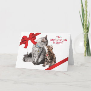 Cartão De Festividades Holiday Cats