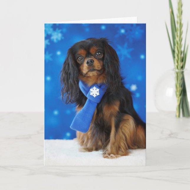 Cartão De Festividades Holiday Cavalier (Frente)