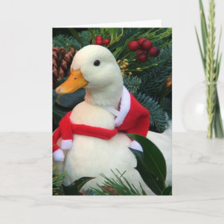 Cartão De Festividades Holiday Duck