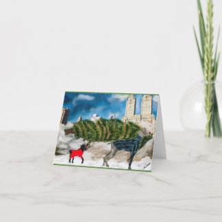 Cartão De Festividades Holiday greeting card dogs get a Christmas tree NY