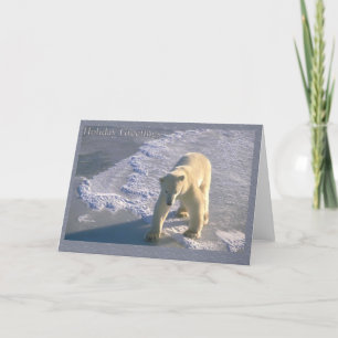 Cartão De Festividades Holiday Greetings - Polar Bear