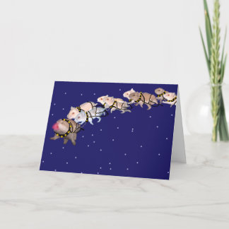 Cartão De Festividades Holiday Hamsters