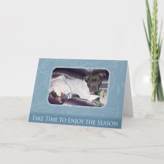 Cartão De Festividades Holiday Pitbull Card