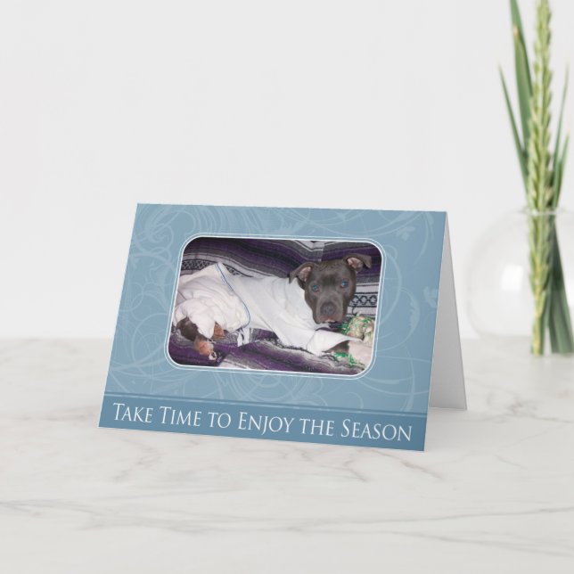 Cartão De Festividades Holiday Pitbull Card (Frente)