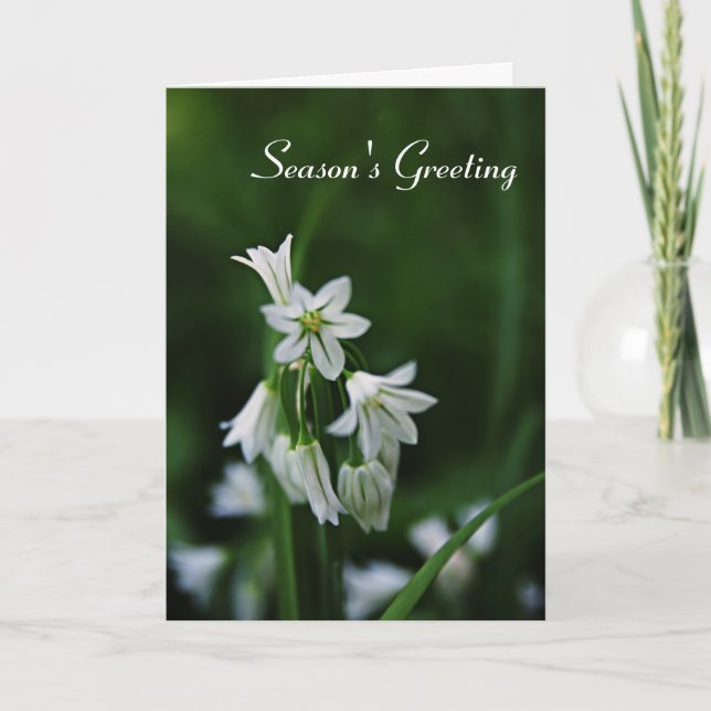 Cartão De Festividades Holiday Season Greeting Cards - White Floral Card (Frente)