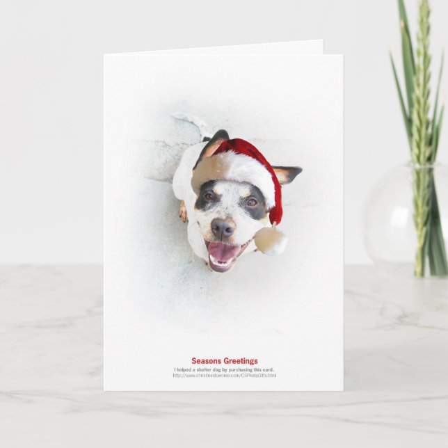 Cartão De Festividades Holiday Shelter Dog (Frente)