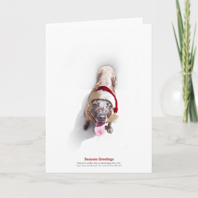 Cartão De Festividades Holiday Shelter Dog 2 (Frente)