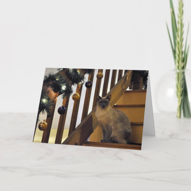 Cartão De Festividades Holiday Siamese 2 (Frente)